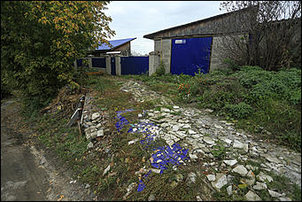 26 сентября 2017 г, Барнаул. Екатерина Смолихина Над пропастью в Оби: фотопрогулка по береговой улице Барнаула