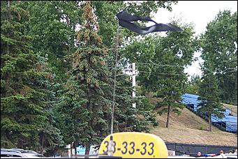 9 августа 2011 г., Барнаул   Акция протеста таксистов