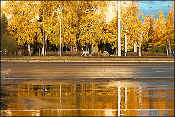 15 октябрь 2020 г., Барнаул   "Пускай лежат еще недельку". Барнаул в осенней листве 