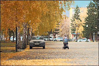 15 октябрь 2020 г., Барнаул   "Пускай лежат еще недельку". Барнаул в осенней листве 