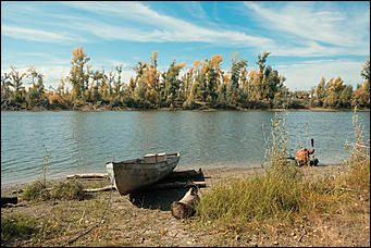 15 октябрь 2020 г., Барнаул   "Пускай лежат еще недельку". Барнаул в осенней листве 