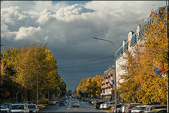 15 октябрь 2020 г., Барнаул   "Пускай лежат еще недельку". Барнаул в осенней листве 