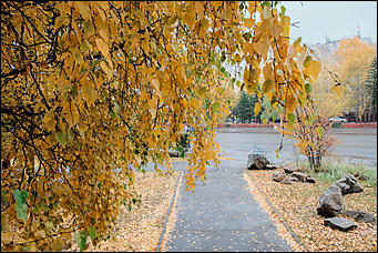 15 октябрь 2020 г., Барнаул   "Пускай лежат еще недельку". Барнаул в осенней листве 