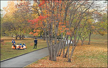 15 октябрь 2020 г., Барнаул   "Пускай лежат еще недельку". Барнаул в осенней листве 