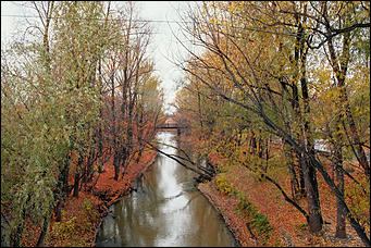 15 октябрь 2020 г., Барнаул   "Пускай лежат еще недельку". Барнаул в осенней листве 