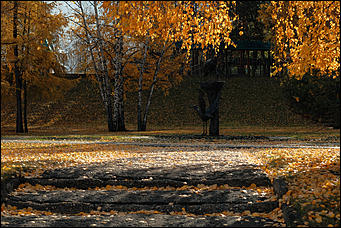 15 октябрь 2020 г., Барнаул   "Пускай лежат еще недельку". Барнаул в осенней листве 