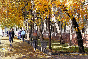 15 октябрь 2020 г., Барнаул   "Пускай лежат еще недельку". Барнаул в осенней листве 