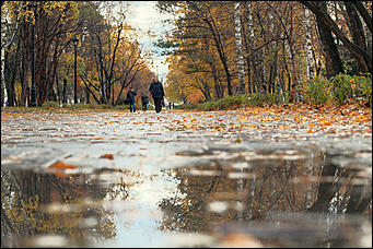 15 октябрь 2020 г., Барнаул   "Пускай лежат еще недельку". Барнаул в осенней листве 