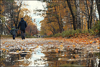 15 октябрь 2020 г., Барнаул   "Пускай лежат еще недельку". Барнаул в осенней листве 