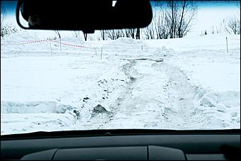 14 марта 2009 г., Барнаул   Весенний фестиваль Nissan от официального дилера Автоцентра АНТ