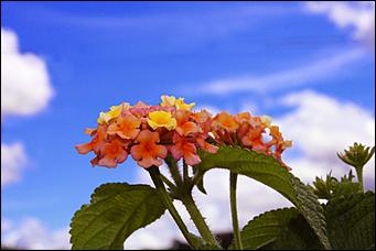 декабрь 2012 г. Нья Чанг   Социализм по-вьетнамски