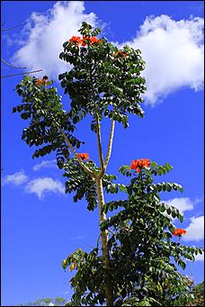 декабрь 2012 г. Нья Чанг   Социализм по-вьетнамски