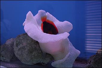 декабрь 2012 г. Нья Чанг   Социализм по-вьетнамски