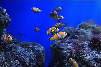 декабрь 2012 г. Нья Чанг   Социализм по-вьетнамски