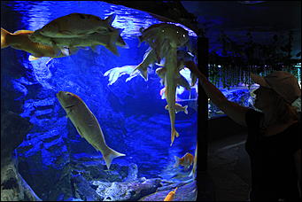 декабрь 2012 г. Нья Чанг   Социализм по-вьетнамски