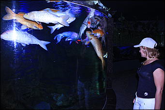 декабрь 2012 г. Нья Чанг   Социализм по-вьетнамски