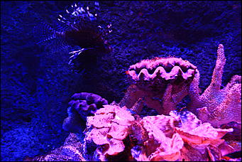 декабрь 2012 г. Нья Чанг   Социализм по-вьетнамски