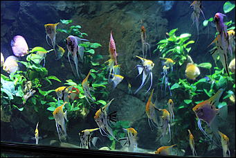 декабрь 2012 г. Нья Чанг   Социализм по-вьетнамски