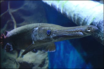 декабрь 2012 г. Нья Чанг   Социализм по-вьетнамски