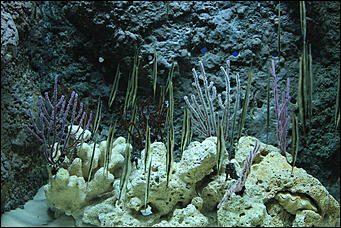 декабрь 2012 г. Нья Чанг   Социализм по-вьетнамски