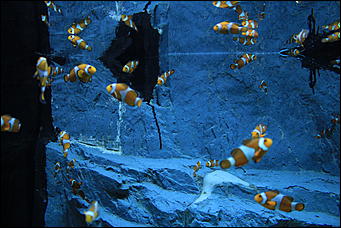 декабрь 2012 г. Нья Чанг   Социализм по-вьетнамски