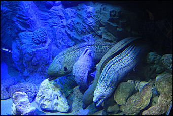 декабрь 2012 г. Нья Чанг   Социализм по-вьетнамски