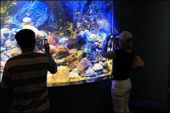 декабрь 2012 г. Нья Чанг   Социализм по-вьетнамски