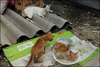 декабрь 2012 г. Нья Чанг   Социализм по-вьетнамски