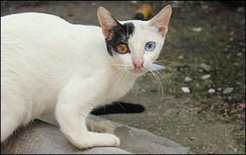 декабрь 2012 г. Нья Чанг   Социализм по-вьетнамски