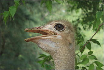 декабрь 2012 г. Нья Чанг   Социализм по-вьетнамски