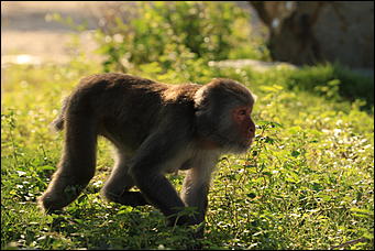 декабрь 2012 г. Нья Чанг   Социализм по-вьетнамски