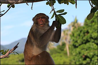 декабрь 2012 г. Нья Чанг   Социализм по-вьетнамски