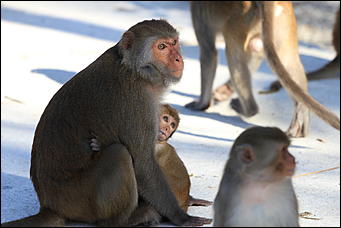 декабрь 2012 г. Нья Чанг   Социализм по-вьетнамски