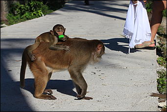 декабрь 2012 г. Нья Чанг   Социализм по-вьетнамски