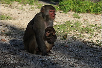 декабрь 2012 г. Нья Чанг   Социализм по-вьетнамски
