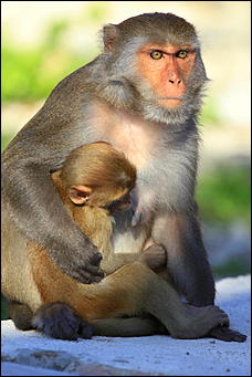 декабрь 2012 г. Нья Чанг   Социализм по-вьетнамски