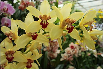 декабрь 2012 г. Нья Чанг   Социализм по-вьетнамски