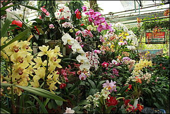 декабрь 2012 г. Нья Чанг   Социализм по-вьетнамски