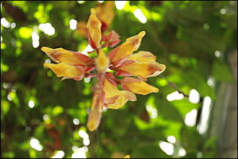 декабрь 2012 г. Нья Чанг   Социализм по-вьетнамски