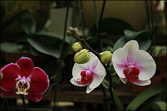 декабрь 2012 г. Нья Чанг   Социализм по-вьетнамски