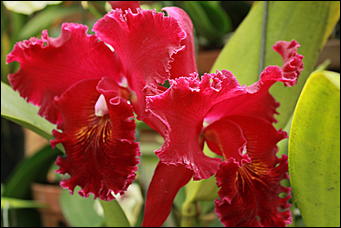 декабрь 2012 г. Нья Чанг   Социализм по-вьетнамски