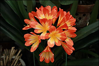 декабрь 2012 г. Нья Чанг   Социализм по-вьетнамски