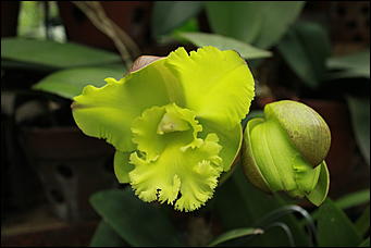 декабрь 2012 г. Нья Чанг   Социализм по-вьетнамски