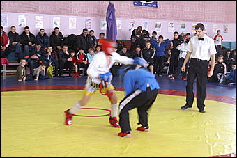 28 ноября 2010 г., Барнаул   Краевой турнир по «Универсальному бою» в Барнауле