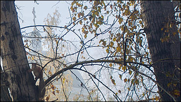 3 октябрь 2016 г., Барнаул © Амител Вячеслав Мельников   В туманной тишине: зыбкие "миражи" Нагорного парка  