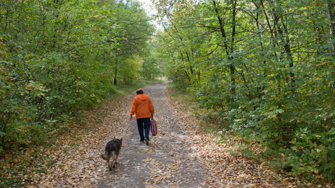 14 сентябрь 2016 г., Барнаул &copy; Амител Вячеслав Мельников   Там на неведомых дорожках: парк "Юбилейный" в сентябре 2016 года  