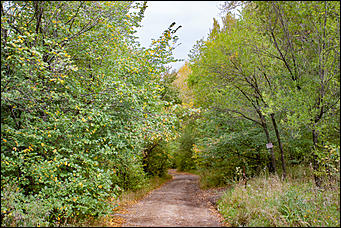 14 сентябрь 2016 г., Барнаул © Амител Вячеслав Мельников   Там на неведомых дорожках: парк "Юбилейный" в сентябре 2016 года  