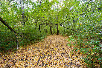 14 сентябрь 2016 г., Барнаул © Амител Вячеслав Мельников   Там на неведомых дорожках: парк "Юбилейный" в сентябре 2016 года  
