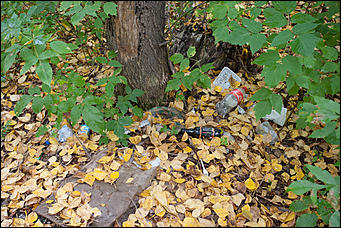 14 сентябрь 2016 г., Барнаул © Амител Вячеслав Мельников   Там на неведомых дорожках: парк "Юбилейный" в сентябре 2016 года  