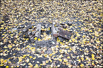 14 сентябрь 2016 г., Барнаул © Амител Вячеслав Мельников   Там на неведомых дорожках: парк "Юбилейный" в сентябре 2016 года  